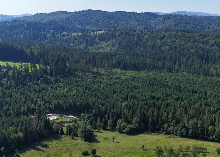 Mlynarska Dolina B * Koniaków